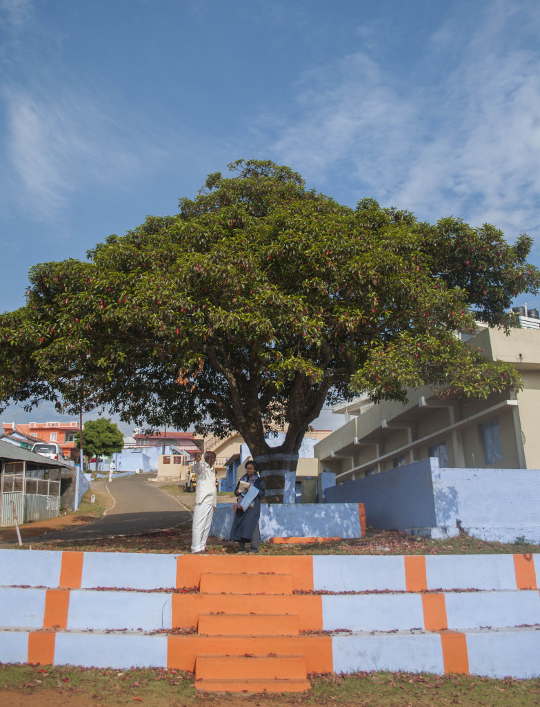 The Nilgiris Nilgiri Natural History Society