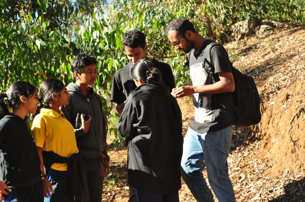 Nilgiri Natural History Society » Nature Club, The Lawrence School ...